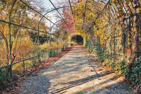 Spaziergang am See entlang