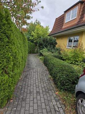 Hausansicht und Zuwegung