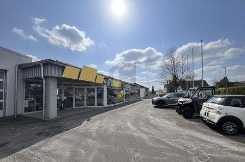 Erkheim Halle, Erkheim Hallenfläche