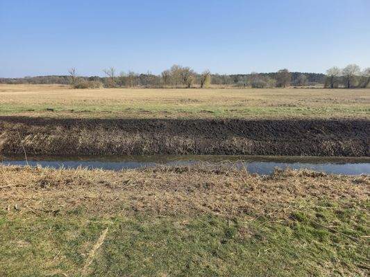 Blick vom Grundstück