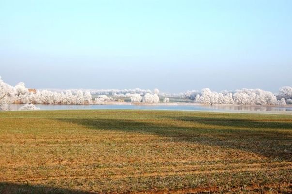 Der Vielitzsee - winterliche Impressionen