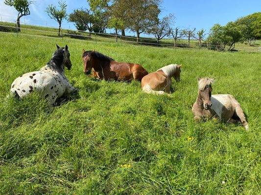 WhatsApp Image 2025-12-16 at 11.24.38.jpeg