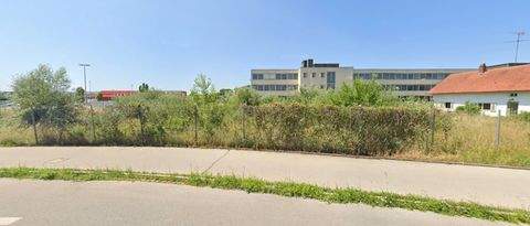 Kissing Halle, Kissing Hallenfläche