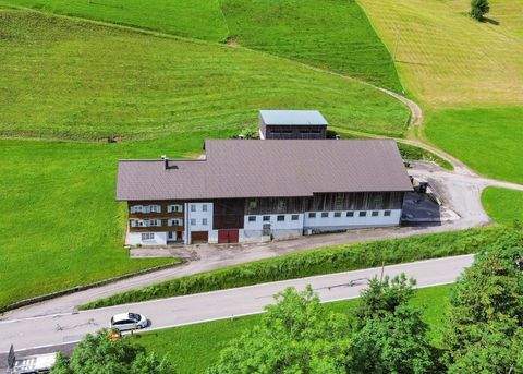 Hittisau Bauernhöfe, Landwirtschaft, Hittisau Forstwirtschaft
