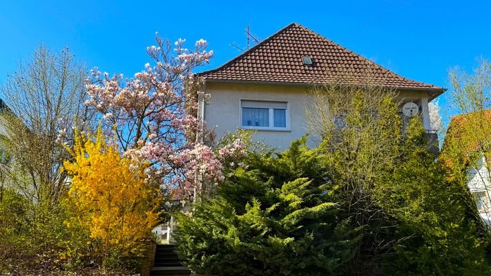 Ansicht von der Straße 