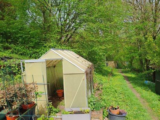 Werden Sie Waldbesitzer