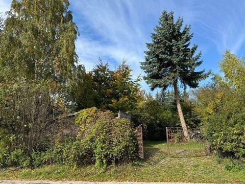 Jena Häuser, Jena Haus kaufen