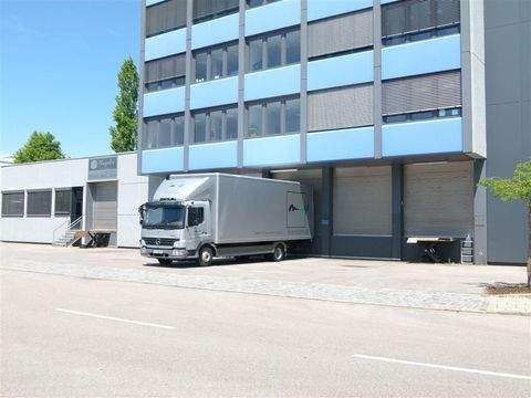 Planegg Halle, Planegg Hallenfläche