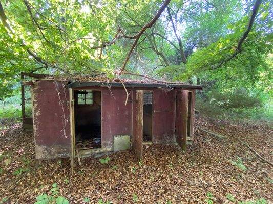 Fasanengehege (1).JPG