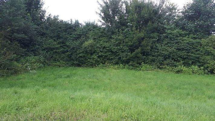 Grundstück Ansicht 1