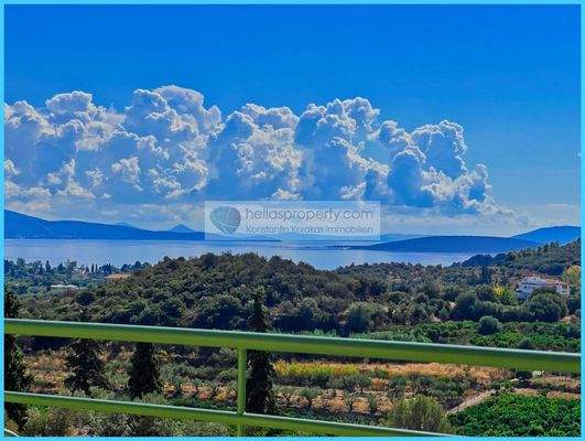 4512420cee164f1288deb5188781cba1-original