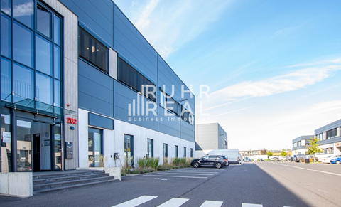 Köln Halle, Köln Hallenfläche