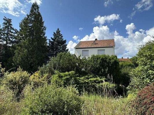 Grundstück mit Blick zum Haus