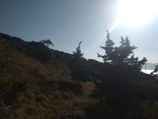 Zum Verkauf auf Kreta, Plakalona: Grundstück mit Meerblick und Olivenbäumen