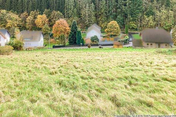 Blick vom Grundstück