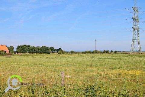 Stemshorn Bauernhöfe, Landwirtschaft, Stemshorn Forstwirtschaft