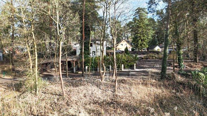 Aussicht vom Grundstück zur Straße