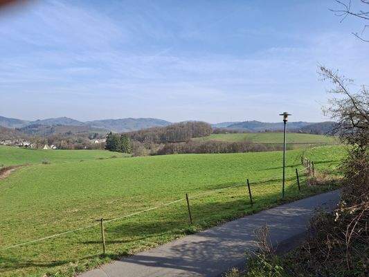 Blick vom Garten.jpg