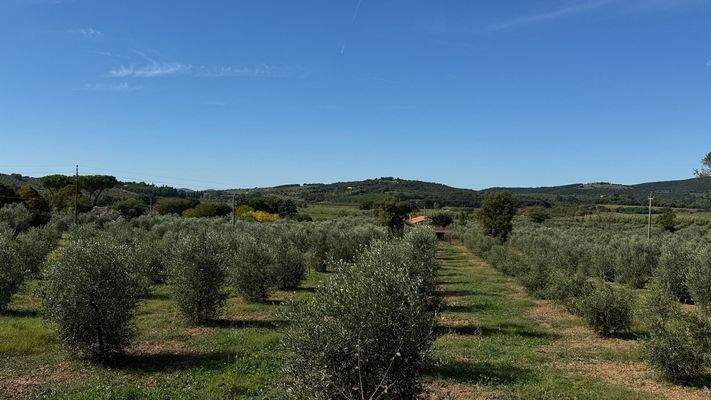 DFCFDCD8-E3B4-46C2-A663-E818B3C73916_1_102_a