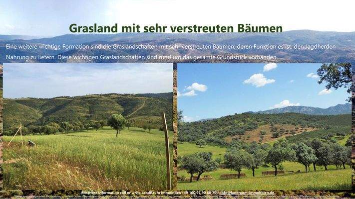 La Nueva Merced - Expose LRI - Deutsch-23.jpg