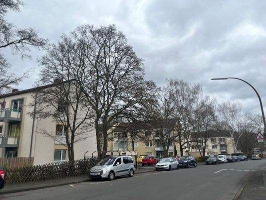 WhatsApp Image 2022-02-17 at 21.37.46