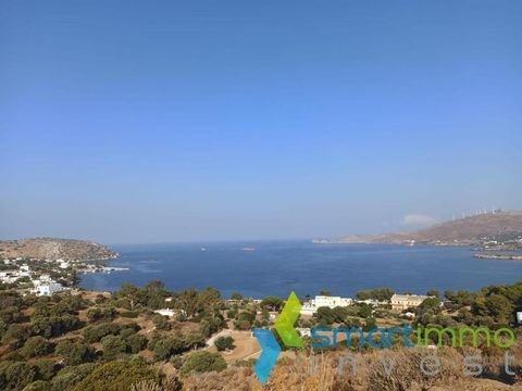 Drymonas, Leros Bauernhöfe, Landwirtschaft, Drymonas, Leros Forstwirtschaft
