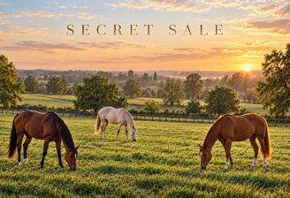 Secret Sale.jpg