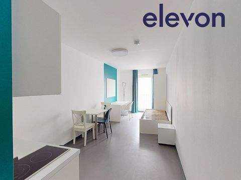 Frankfurt am Main Wohnungen, Frankfurt am Main Wohnung mieten