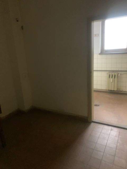 Spremberg Halle, Spremberg Hallenfläche