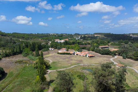 Óbidos Häuser, Óbidos Haus kaufen