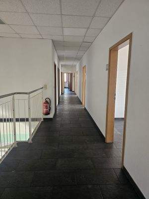 WhatsApp Image 2026-03-10 at 13.12.43.jpeg