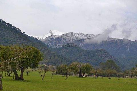Campanet Grundstücke, Campanet Grundstück kaufen