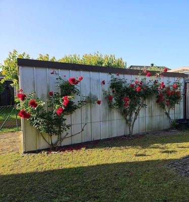 Garage, Seitenansicht.jpg