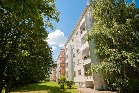 Borna Wohnungen, Borna Wohnung mieten