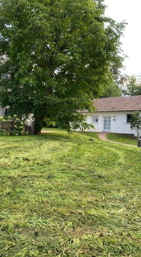 Haus / 3 Zimmerwohnung in Bovenden mit Terrasse und sep. Eingang - Photo 4