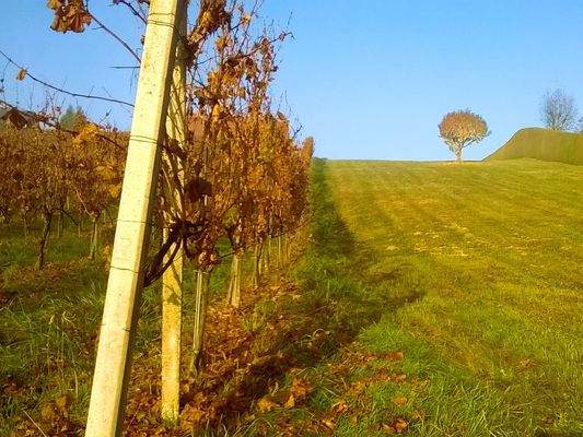Stimmung
