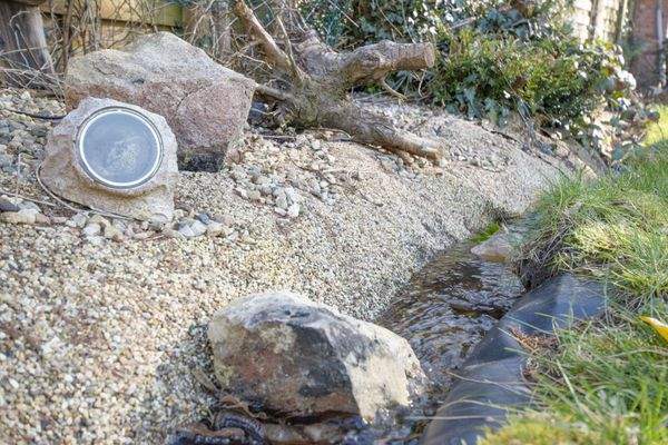 Todenbüttel_Außenansicht_04