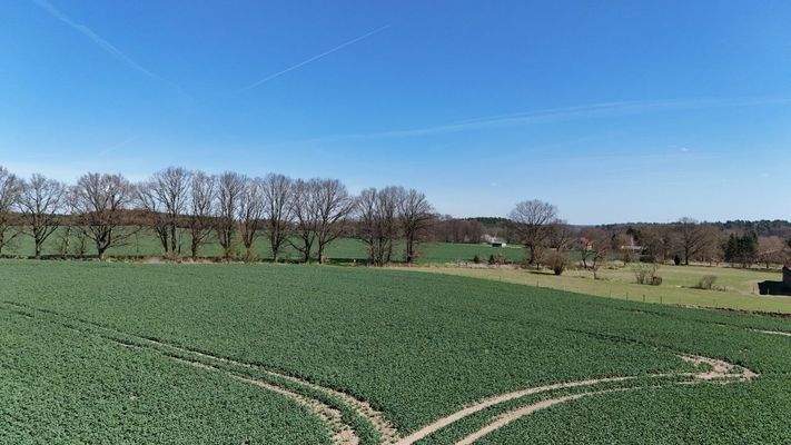 Tiny House Außenansicht7