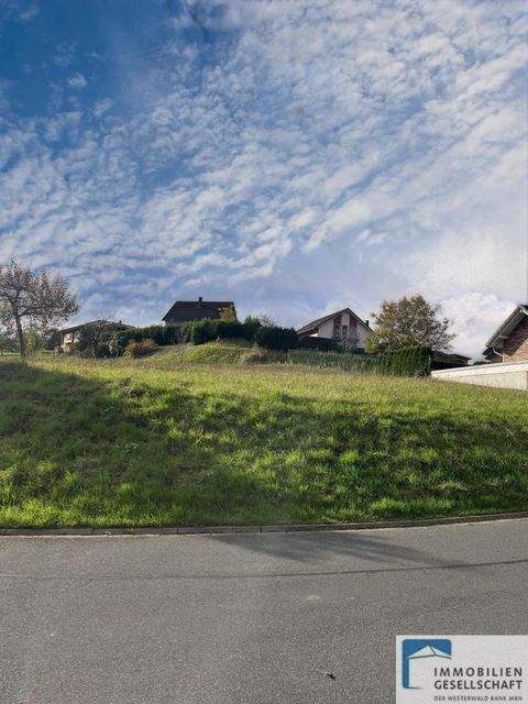 Selbach Grundstücke, Selbach Grundstück kaufen