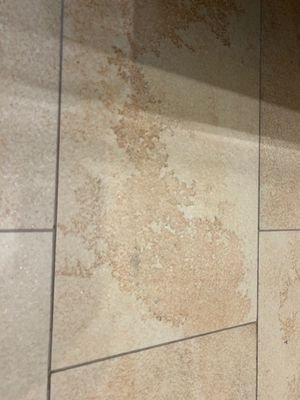 Fliese_Feinsteinzeug - Kopie.jpg