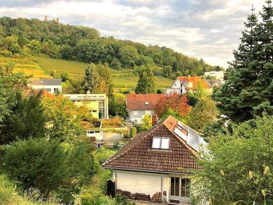 Weitblick über die Dächer