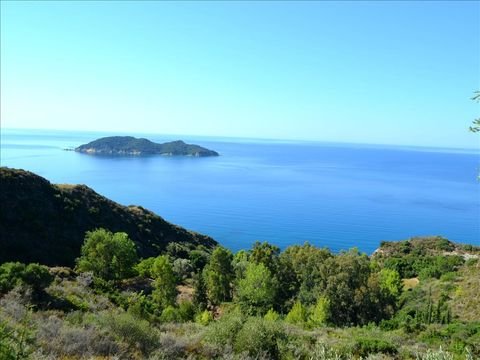 Zakynthos Bauernhöfe, Landwirtschaft, Zakynthos Forstwirtschaft