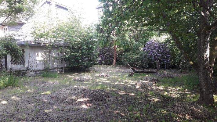 Garten hinter dem Haus