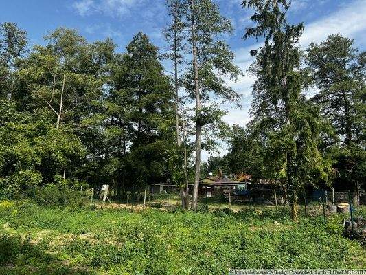 hintere Grundstücksgrenze