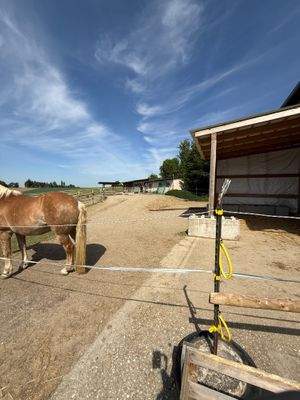 Außenbereich Stallung
