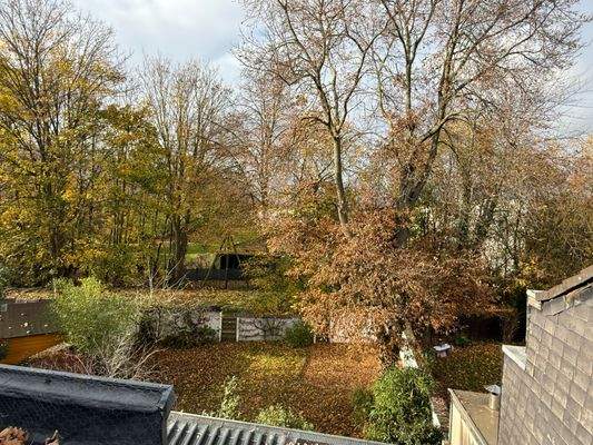 08 Blick in den Garten.JPG