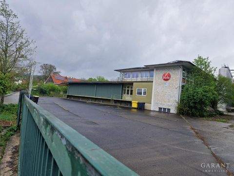 Aspach Bauernhöfe, Landwirtschaft, Aspach Forstwirtschaft