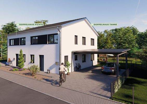 DHH 8 (Tanne) DHH 9 (Fichte)