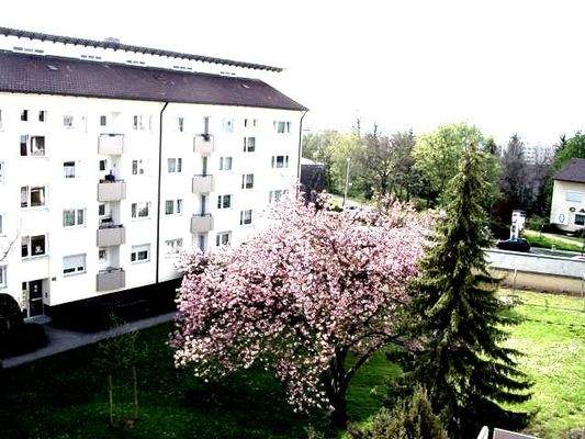 Eingangsseite mit Grünanlage