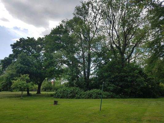 Garten rechte Hausseite